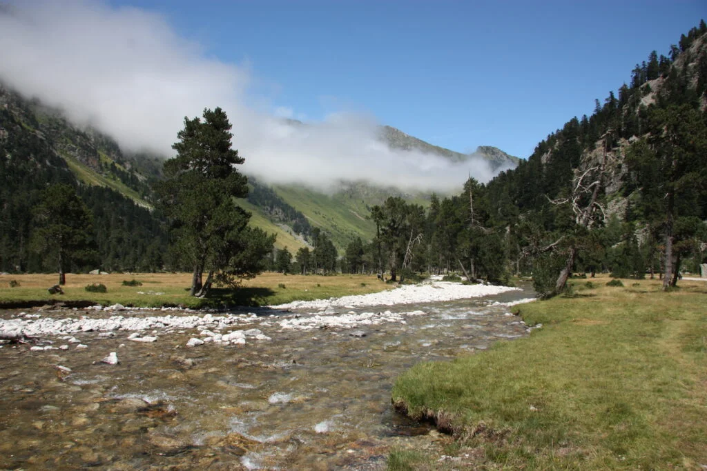 location Appartement Cauterets -La Cardabelle